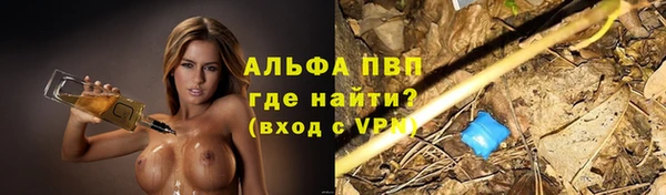 прущая мука Ельня