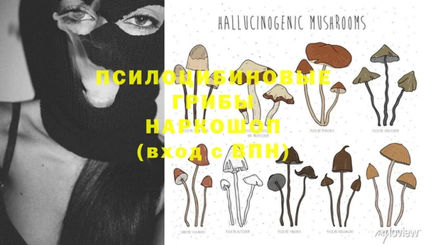 молекула духа Алексеевка