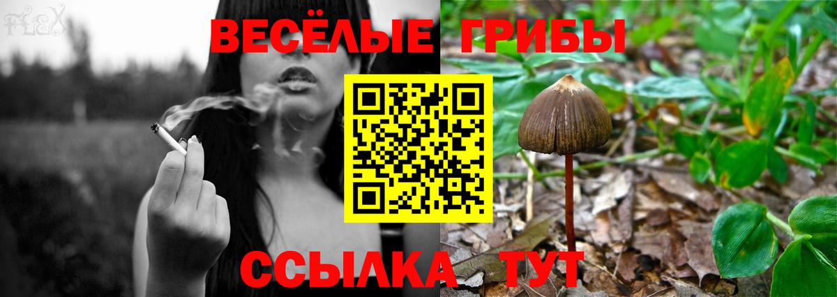 Галлюциногенные грибы мухоморы  Вход с VPN  купить   Конаково 